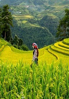 Community Programs