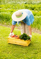 AARP Field Work